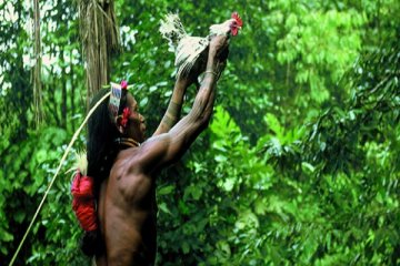 Pameran kearifan adat istiadat Suku Mentawai di Leiden