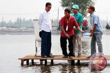 PLN Bekasi pasok listrik lahan tambak di Muara Gembong