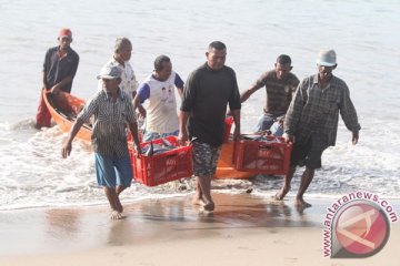 Masyarakat Perikanan: 53.000 nelayan terancam larangan cantrang