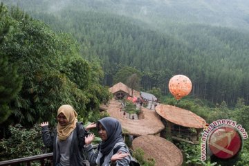 Hutan pinus Samparona siap jadi wahana wisata menarik