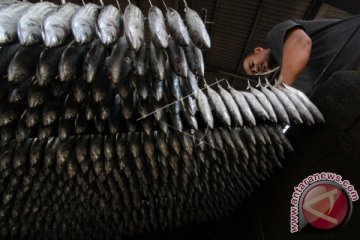 PENGASAPAN IKAN DI DESA HULAWA