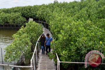 Perhutani tanam seribu mangrove pesisir Kota Probolinggo