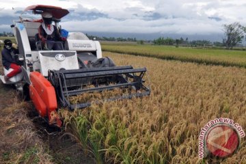 Nilai tukar petani Kaltim naik 0,74 persen