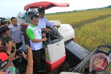 Mentan: stok beras aman sampai bulan Mei