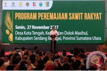 Presiden mulai peremajaan kebun sawit di Sumut