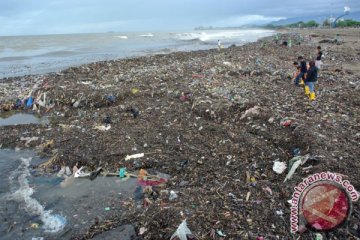 Sampah di ekowisata mangrove Kupang dibersihkan oleh ratusan warga