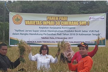 Teknologi Jarwo Super terbukti tingkatkan produksi benih sebar padi