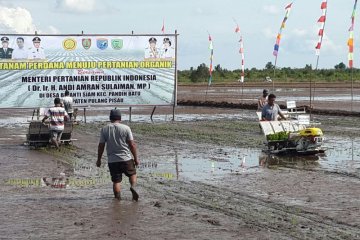 Transmigran Jateng akan ditempatkan di Kalteng dengan pola baru