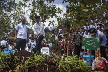 Presiden Tanam Pohon Di Gunungkidul