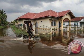 Ratusan warga terdampak banjir di Pekanbaru