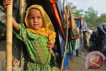 Fadli Zon: ASEAN harus tuntaskan kasus Rohingya