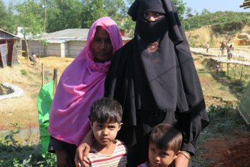Indonesia diminta manfaatkan keanggotaan DK-PBB akhiri krisis Rohingya