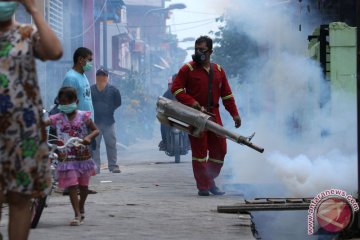 Antisipasi Demam Berdarah