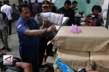 BNN Telusuri Keterlibatan Oknum Dalam Produksi Pil PCC