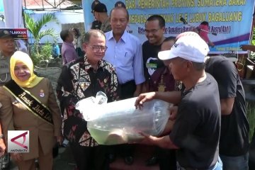 Pemprov Sumbar Dorong Budidaya Ikan Lele