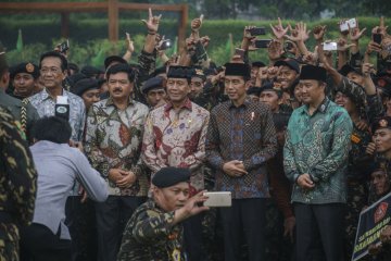 Apel Kebangsaan Pemuda Islam Indonesia