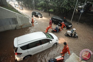 33 pohon tumbang di Jakarta akibat hujan angin