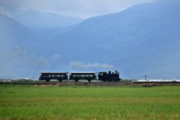 1.000 orang kunjungi Museum Ambarawa saban hari