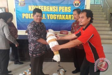 Warga serahkan buaya muara peliharaan ke Polda DIY