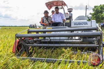 Mentan berharap produksi gabah naik 5 persen