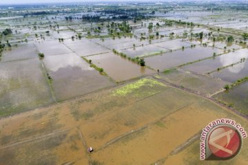 Tanggul Sungai Cilamaya Karawang jebol