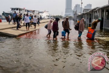 BPBD DKI imbau warga antisipasi rob