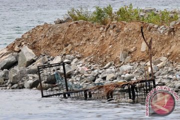 Demi tangkap seekor buaya, kerangkeng disebar di Phuket