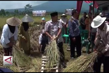 Tasikmalaya prioritaskan sektor pertanian