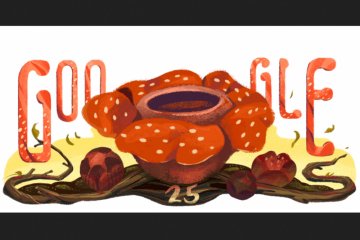 Google tampilkan keistimewaan Rafflesia arnoldii hari ini