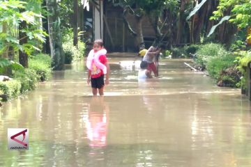 Banjir rendam 8 desa di Jember