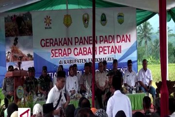 Bulog gerak cepat serap gabah petani jabar