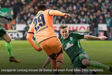 Hoffenheim ditahan imbang oleh Werder Bremen, 1-1