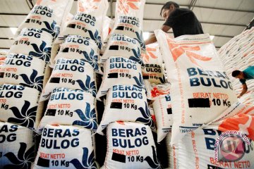 Bulog Sultra pasarkan beras organik di swalayan