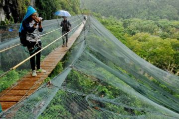 Taman Penangkaran Kupu-Kupu Bantimurung