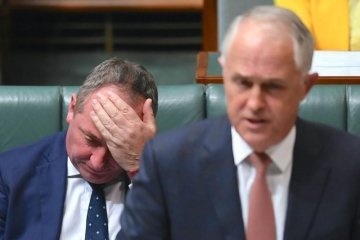 Skandal perselingkuhan buat Deputi PM Australia mundur dari kabinet