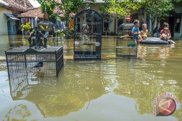 BPBD Demak Kehabisan Dana Bencana