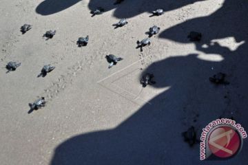 KOMITMEN LINGKUNGAN PERTAMINA