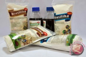 Balitbangtan: pupuk biosilika optimalkan produksi padi gogo