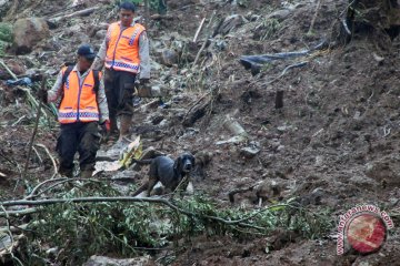 Pencarian Korban Longsor Puncak Bogor