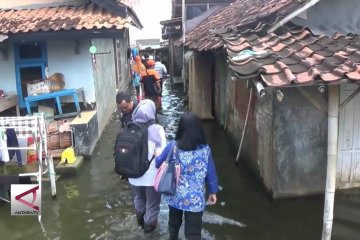 Coklit di tengah genangan banjir