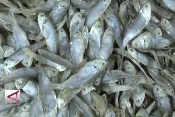 Pengrajin ikan asin kurangi produksi