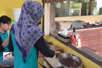 Paduan cokelat pegagan yang penuh khasiat