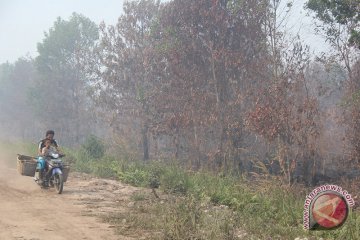 Kebakaran lahan Riau meluas sampai 108 hektare