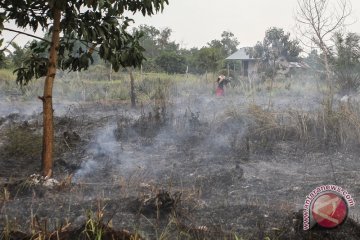 Kebakaran lahan di Riau capai 633 hektare