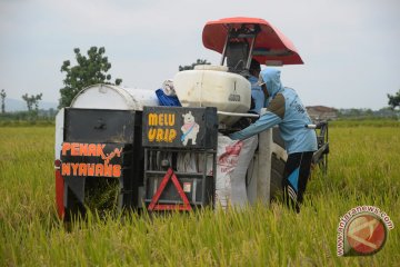 Kementan meminta Bulog segera menyerap gabah petani