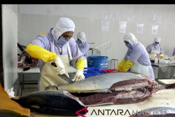 KKP-Asosiasi Perikanan promosikan industri tuna berkelanjutan