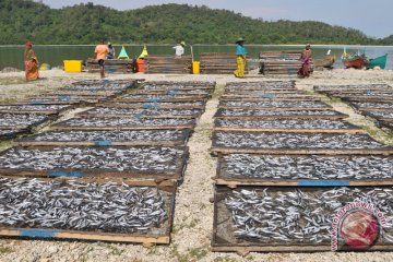 UKM Ikan Asin kesulitan pemasaran