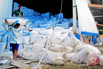 Kerusakan beras bulog akibat banjir