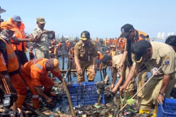 Butuh seminggu angkut sampah mangrove Muara Angke