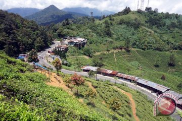 Puncak Bogor sepi wisatawan